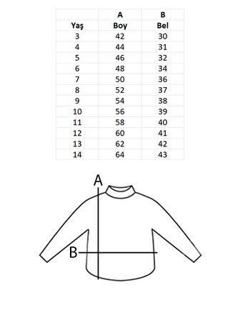 Uzun Kollu Ay Yıldız Baskılı Çocuk Tişört Unisex Türk Bayraklı Tişört 23 Nisan Çocuk Bayramı 29 Ekim Gösteri