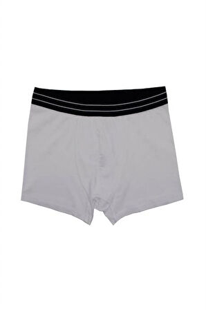 Erkek Wild Dog Erkek Pamuklu 2'li Boxer