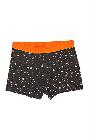 Erkek Wild Dog Erkek Pamuklu 2'li Boxer