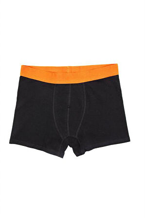 Erkek Wild Dog Erkek Pamuklu 2'li Boxer