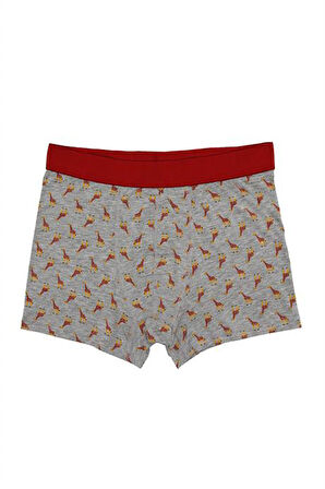 Erkek Wild Dog Erkek Pamuklu 2'li Boxer