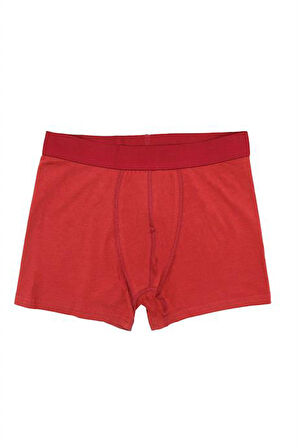 Erkek Wild Dog Erkek Pamuklu 2'li Boxer