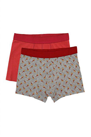 Erkek Wild Dog Erkek Pamuklu 2'li Boxer