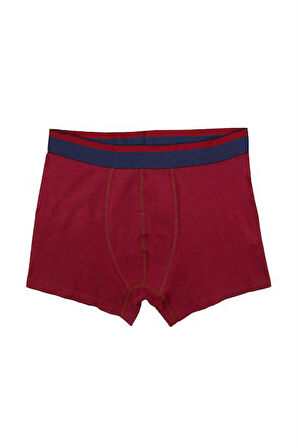 Erkek Wild Dog Erkek Pamuklu 2'li Boxer