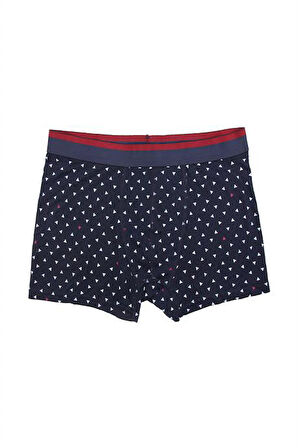 Erkek Wild Dog Erkek Pamuklu 2'li Boxer