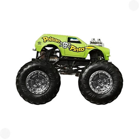 FYJ44 Hot Wheels, Monster Trucks 1:64 Arabalar