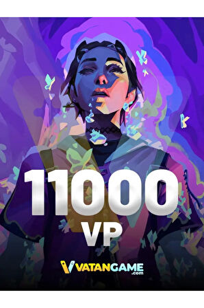 11000 Vp Valorant Points