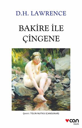 Bakire ile Çingene