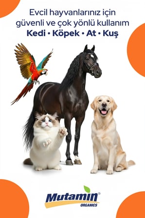 kedi ve köpekler i̇çin norveç somon balık yağı 400 ml
