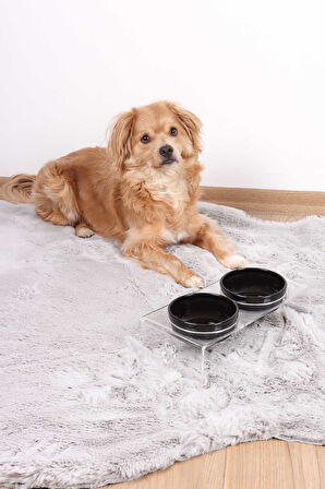 2'li Seramik Dekoratif Kedi Ve Köpek Pleksi Mama & Su Kabı Paspas