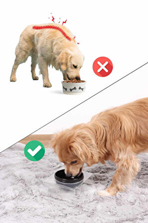 2'li Seramik Dekoratif Kedi Ve Köpek Pleksi Mama & Su Kabı Paspas