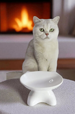 Özel Tasarım Lüks Seramik Kedi Mama Kabı Beyaz