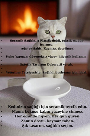 Özel Tasarım Lüks Seramik Kedi Mama Kabı Beyaz