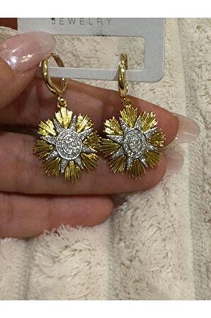 Çelik Silver Detaylı Güneş Tasarım Küpe