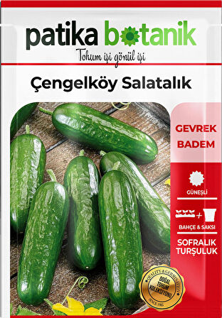 120 Adet Yerli Ata Çengelköy Tipi Hıyar Tohumu