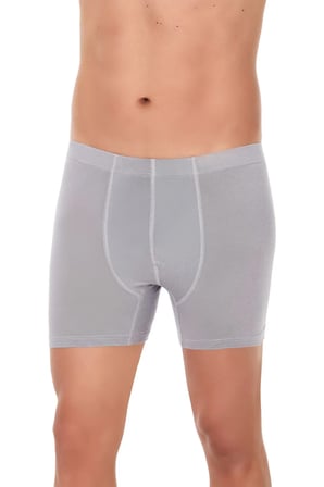 3'lü Gri Bambu Erkek Boxer 322