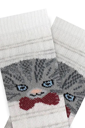 3 Lü Kedi Desenli Erkek Bebek Patik Çorap