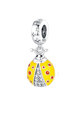 Uğur Böceği Renk Değiştiren (Isı ile) Charm | 925 Ayar Gümüş