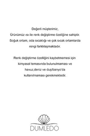 Uğur Böceği Renk Değiştiren (Isı ile) Charm | 925 Ayar Gümüş