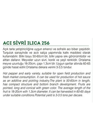 Ata Tohumu Yöresel Sivri Biber Acı Ilıca 100 Adet Tohum