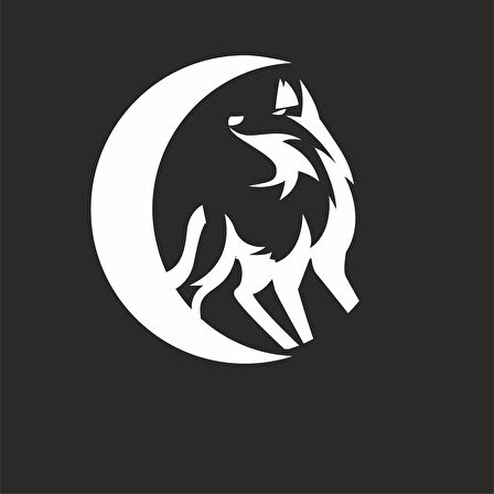 Kurt Sticker17x17 Cm Beyaz