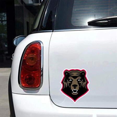 Kızgın Ayı Sticker 10x10 cmRenkli Sticker