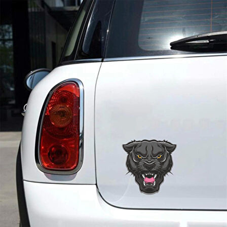 Kızgın Panter Sticker 10x10 cmRenkli Sticker