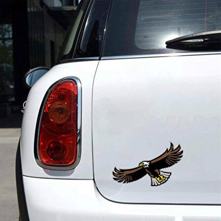 Uçan Kartal Sticker 10x10 cmRenkli Sticker