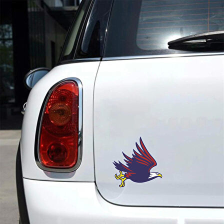 Uçan Kartal 3 Sticker 10x10 cmRenkli Sticker