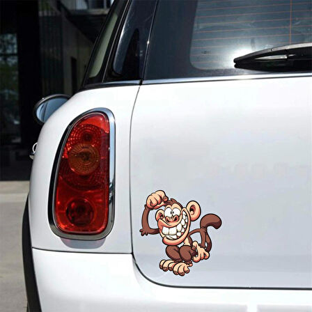 Maymun Sticker 10x10 cmRenkli Sticker