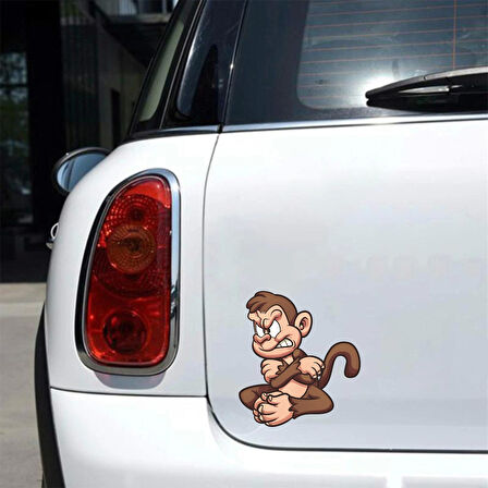 Öfkeli Maymun Sticker 10x10 cmRenkli Sticker