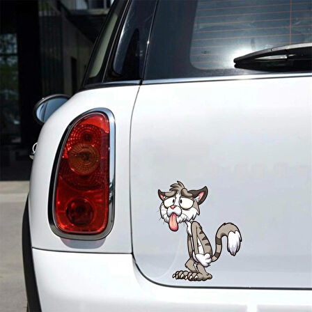 Bıkkın Kedi Sticker 10x10 cmRenkli Sticker