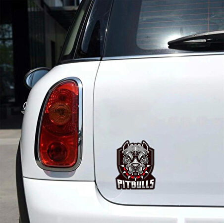 Pitbull Sticker 10x10 cmRenkli Sticker
