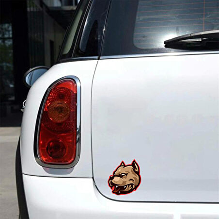 Pitbull 2 Sticker 10x10 cmRenkli Sticker