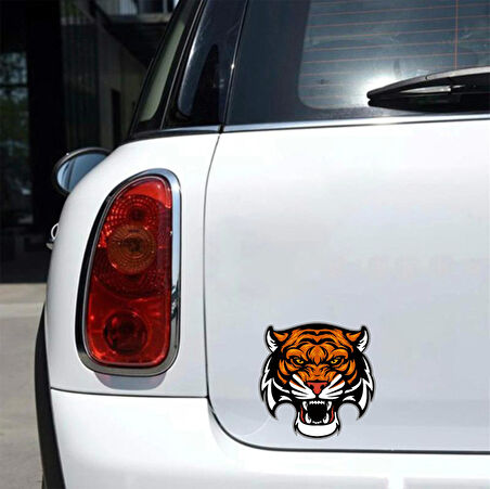 Kaplan Sticker 6 10x10 cmRenkli Sticker