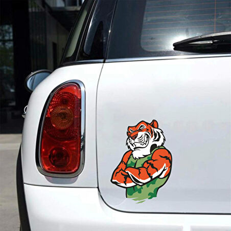 Kaplan Sticker 7 10x10 cmRenkli Sticker