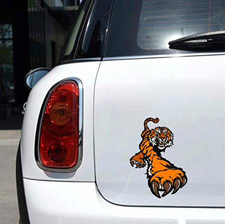 Kaplan Sticker 8 10x10 cmRenkli Sticker