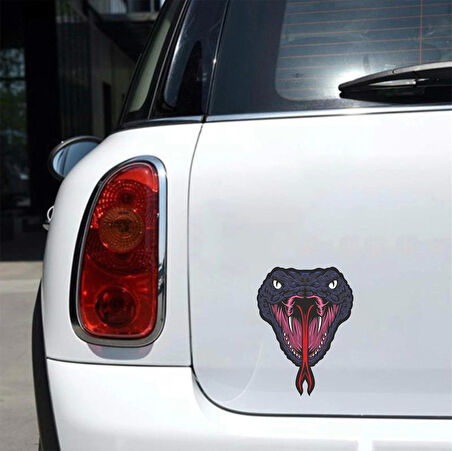 yILAN Sticker 10x10 cmRenkli Sticker