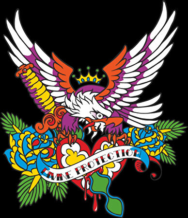 Renkli Papağan Sticker 10x10 cmRenkli Sticker