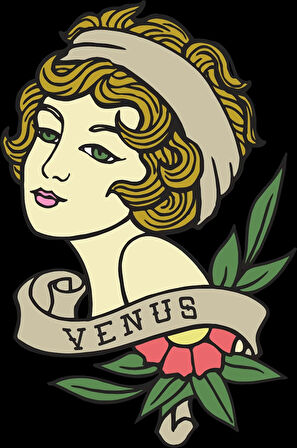 Venus Sticker 10x10 cmRenkli Sticker