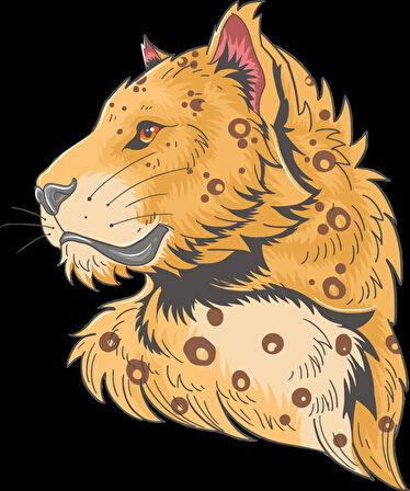 Desenli Aslan Sticker 10x10 cmRenkli Sticker