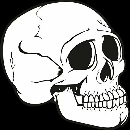 iskelet Sticker 10x10 cmRenkli Sticker