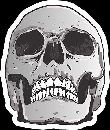 Kurukafa Sticker 5 10x10 cmRenkli Sticker