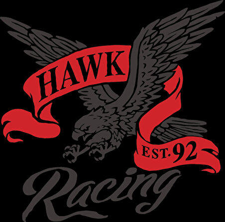 Hawk Racing Sticker 10x10 cmRenkli Sticker