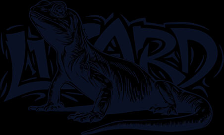 Lizard Kertenkele Sticker 10x10 cmRenkli Sticker