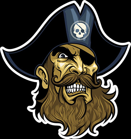 Korsan Sticker 10x10 cmRenkli Sticker