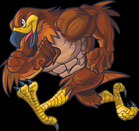 Kartal Sticker 10x10 cmRenkli Sticker