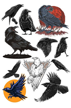 Karga Sticker Set-1 11 Parça Telefon, Tablet, Defter, Laptop Sticker