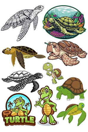 Kaplumbağa Sticker Set-1 10 Parça Telefon, Tablet, Defter, Laptop Sticker