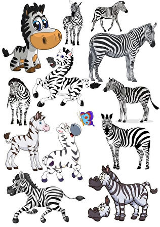 Zebra Sticker Set-1 13 Parça Telefon, Tablet, Defter, Laptop Sticker